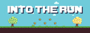 INTO THE RUN