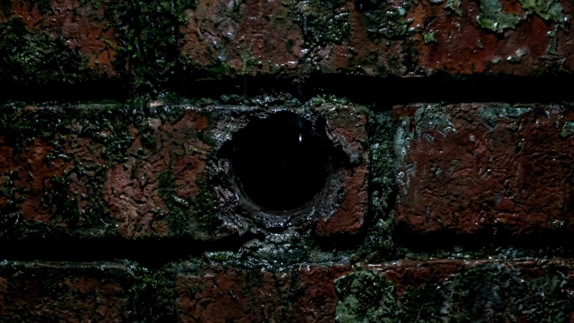 MALAM: School screenshot #5