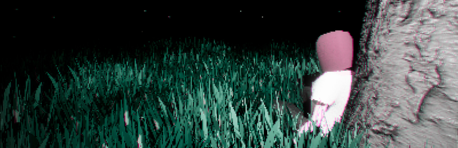 Last Chance