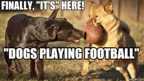 Jerry Rice & Nitus' Dog Football screenshot 6