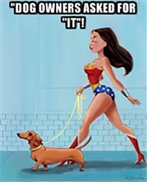 Jerry Rice & Nitus' Dog Football screenshot 8