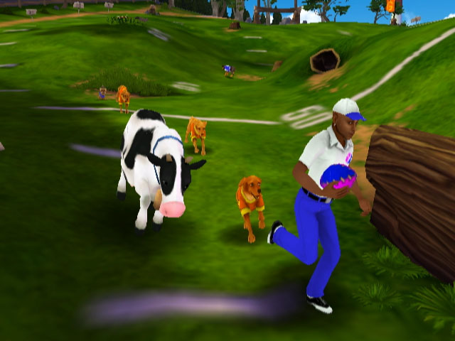 Jerry Rice & Nitus' Dog Football