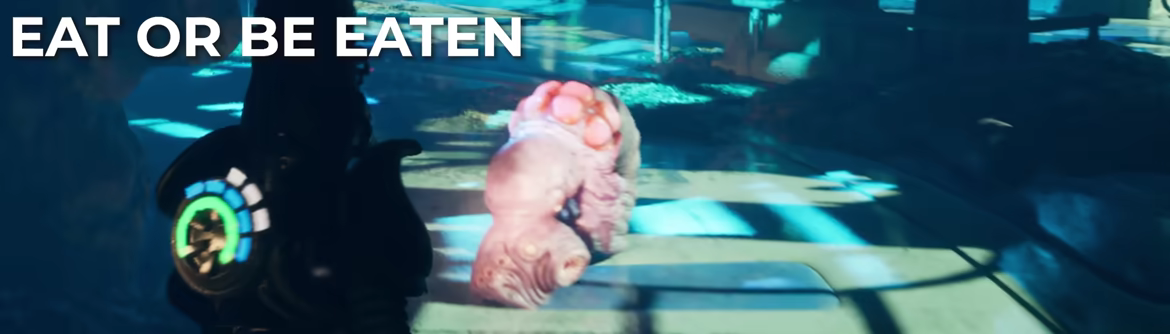 Elderfeast video 3