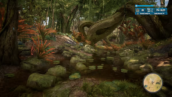 Morels: Out of this World video 1