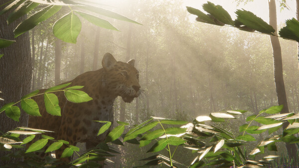 Become A Monarch — 3