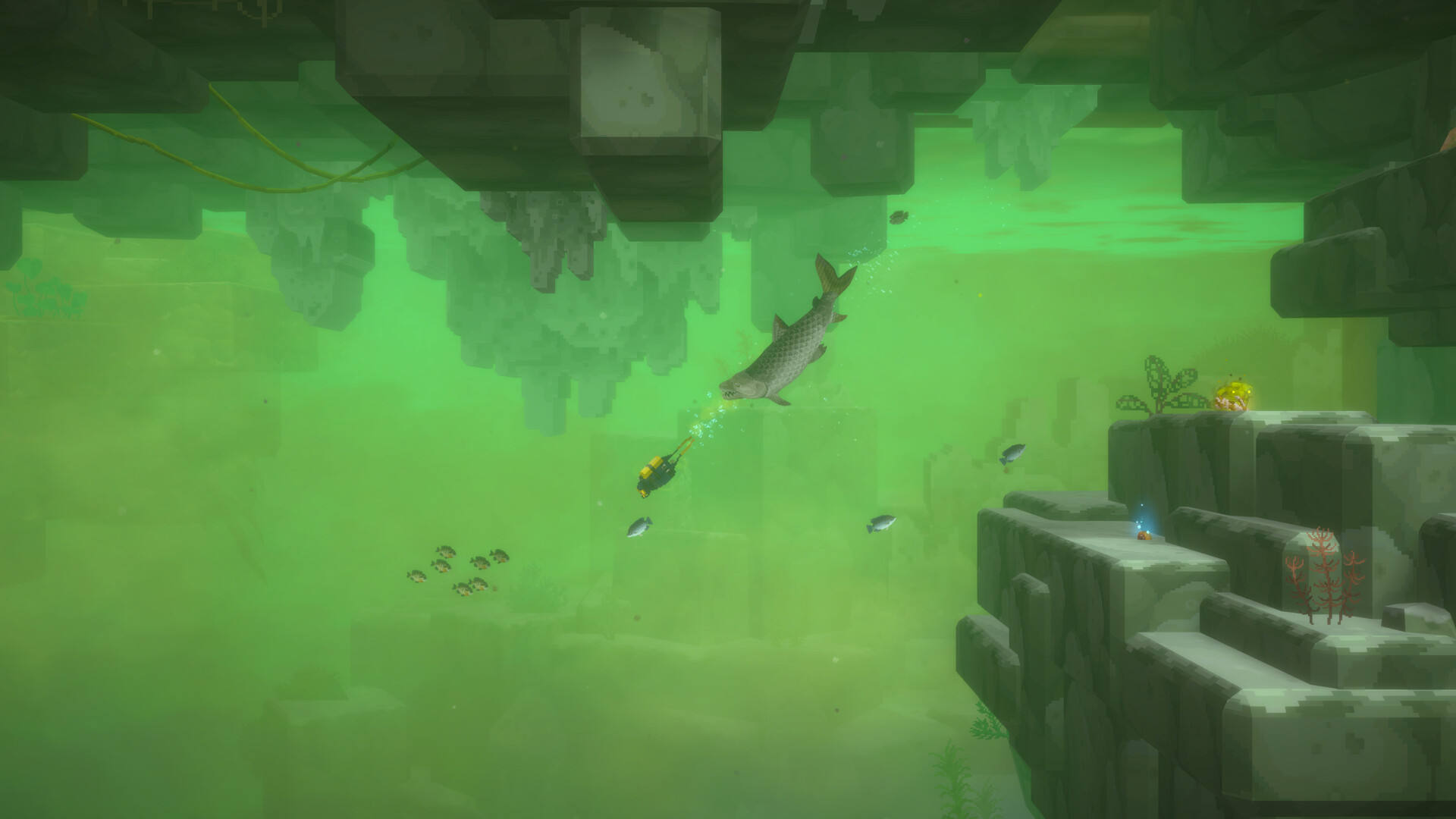 DAVE THE DIVER - In the Jungle Content Pack