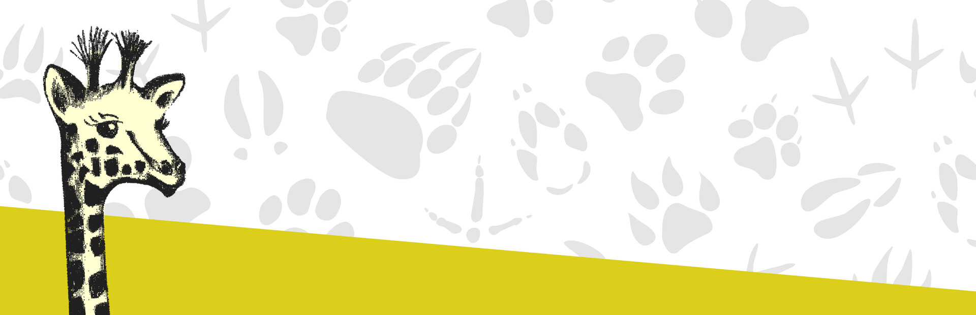 Kid's Zoo: A Baby Animal Adventure