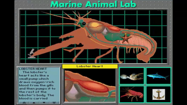 Screenshot 4 of Undersea Adventure - final gameplay screenshot