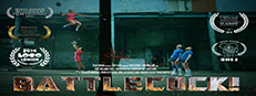 Battlecock game capsule image