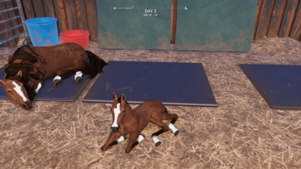 Derby Life: Ranch & Race — 2