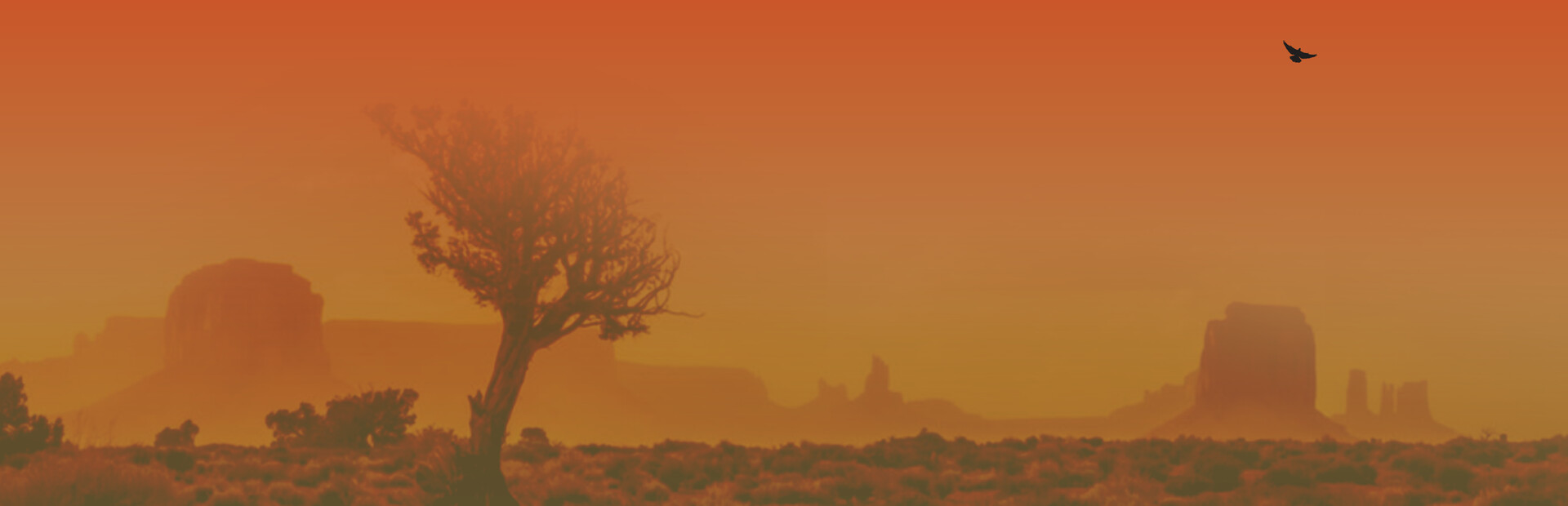 Bloodshot Frontier