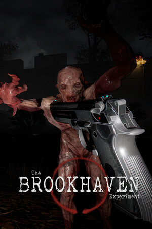 Обложка The Brookhaven Experiment