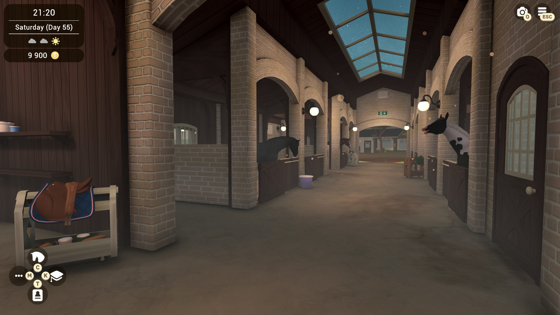 Fernhoof Grove: Riding Academy screenshot 10