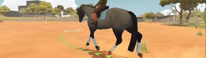 Fernhoof Grove: Riding Academy video 8