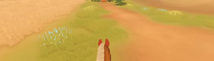 Fernhoof Grove: Riding Academy video 6