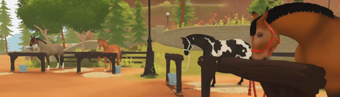 Fernhoof Grove: Riding Academy video 12