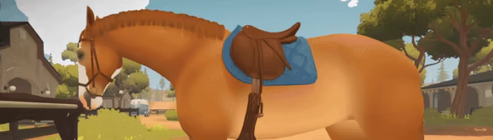 Fernhoof Grove: Riding Academy video 14