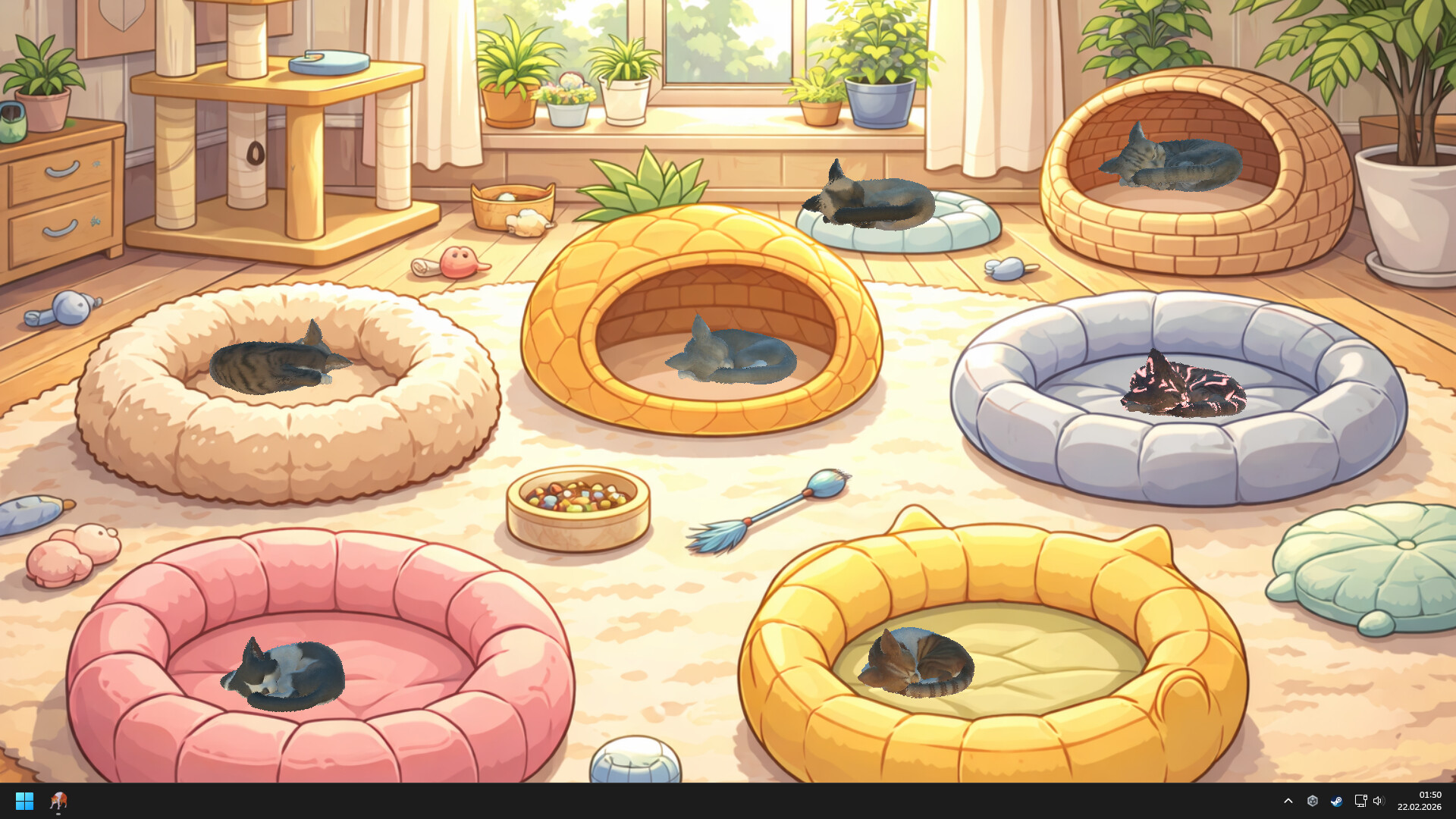 Cat Screen Featured Screenshot #1