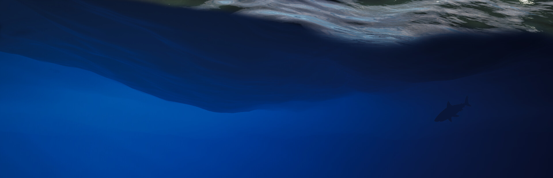 To The Deep