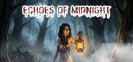 Echoes of Midnightの作品画像