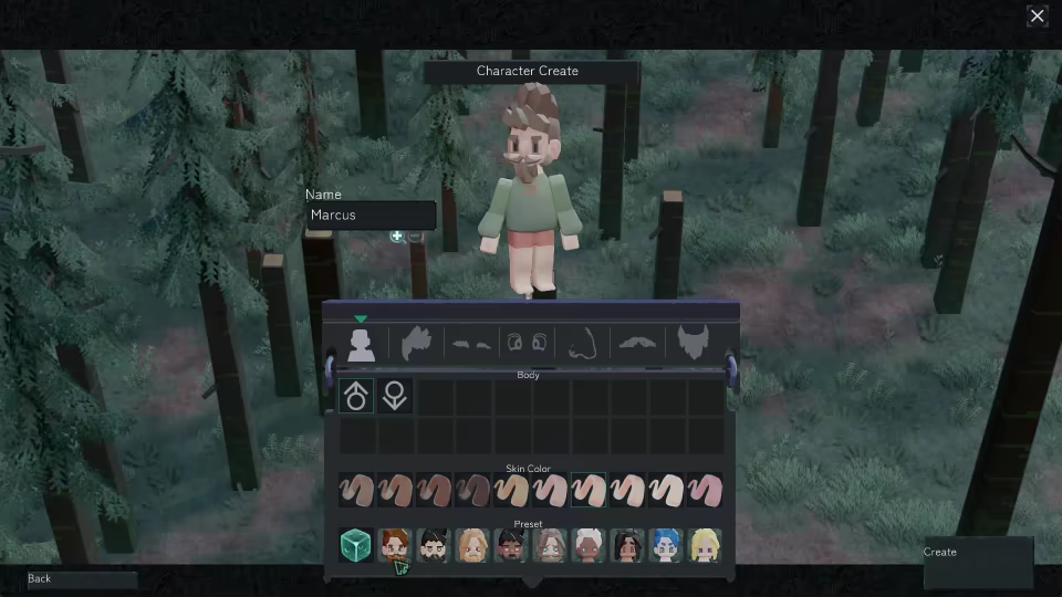Direland video 2