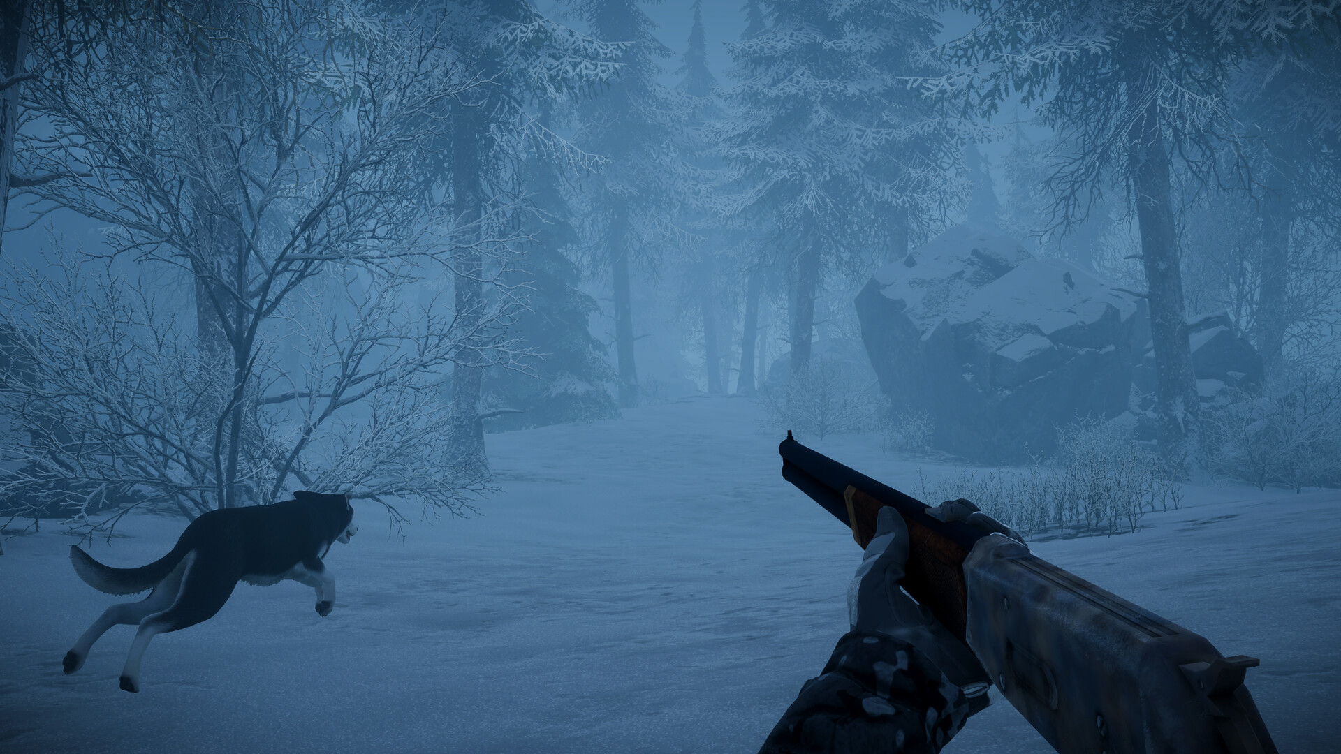 screenshot-5