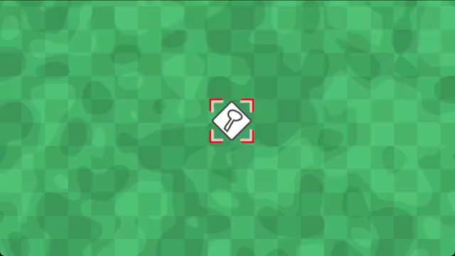 Too Many Flies video 2
