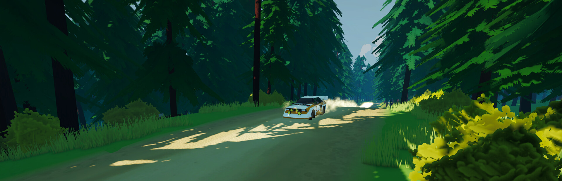 Blind Crest Rally