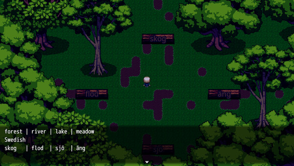 Screenshot of Lang Ops: Lost in Woods