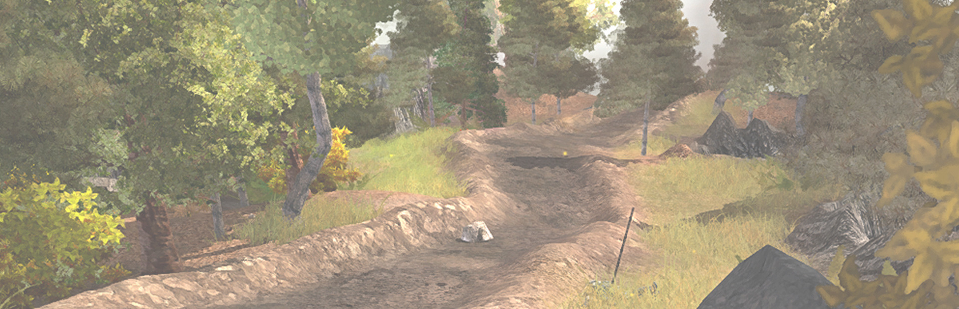 Silverfall