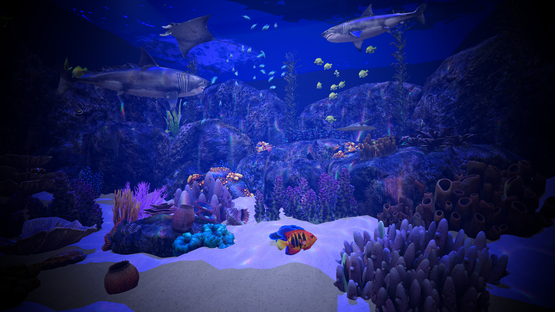 Aquarium Anomaly screenshot 5