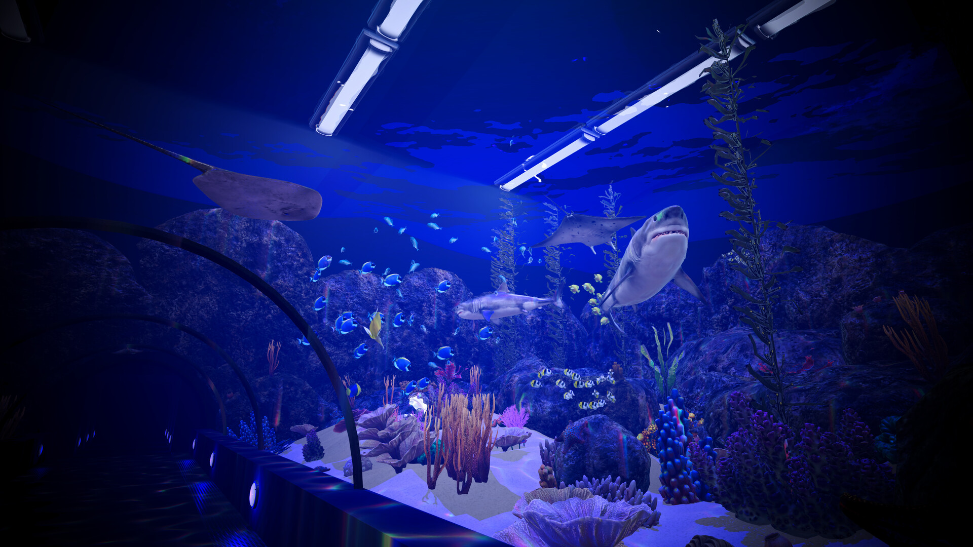 Aquarium Anomaly screenshot 4