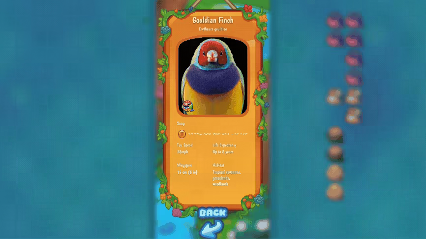 Borbs video 2