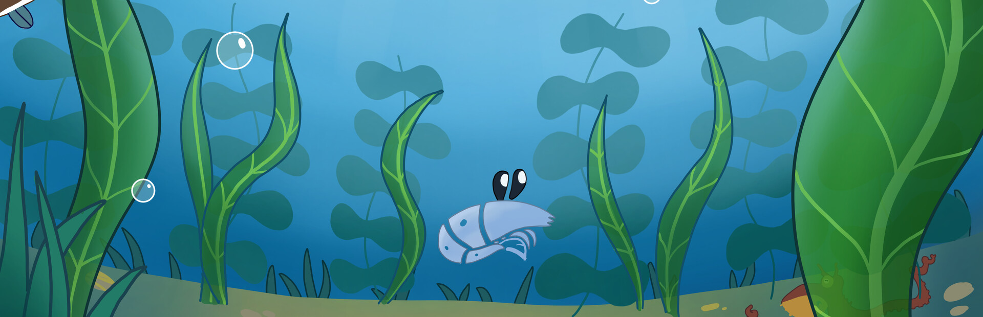 Euphausia superba: The Antarctic Krill