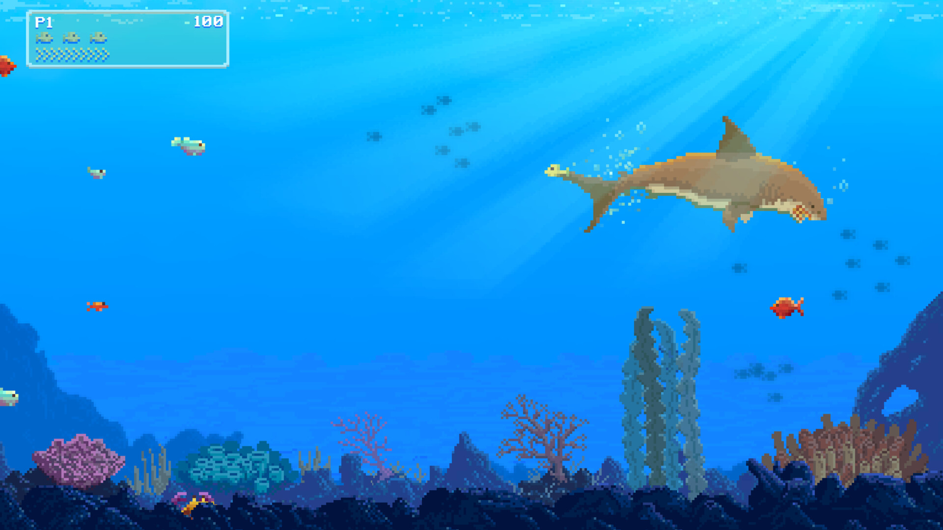Watch Out: Shark! screenshot 17