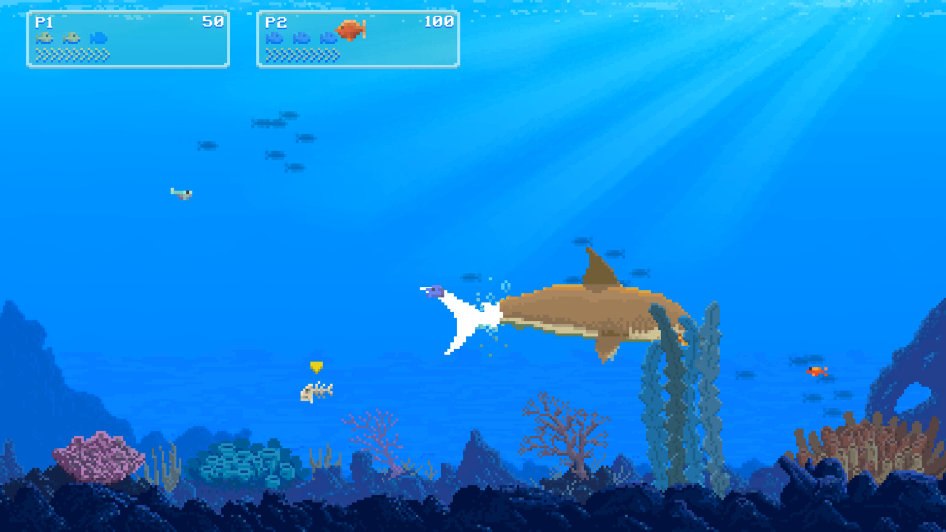 Watch Out: Shark! screenshot 13