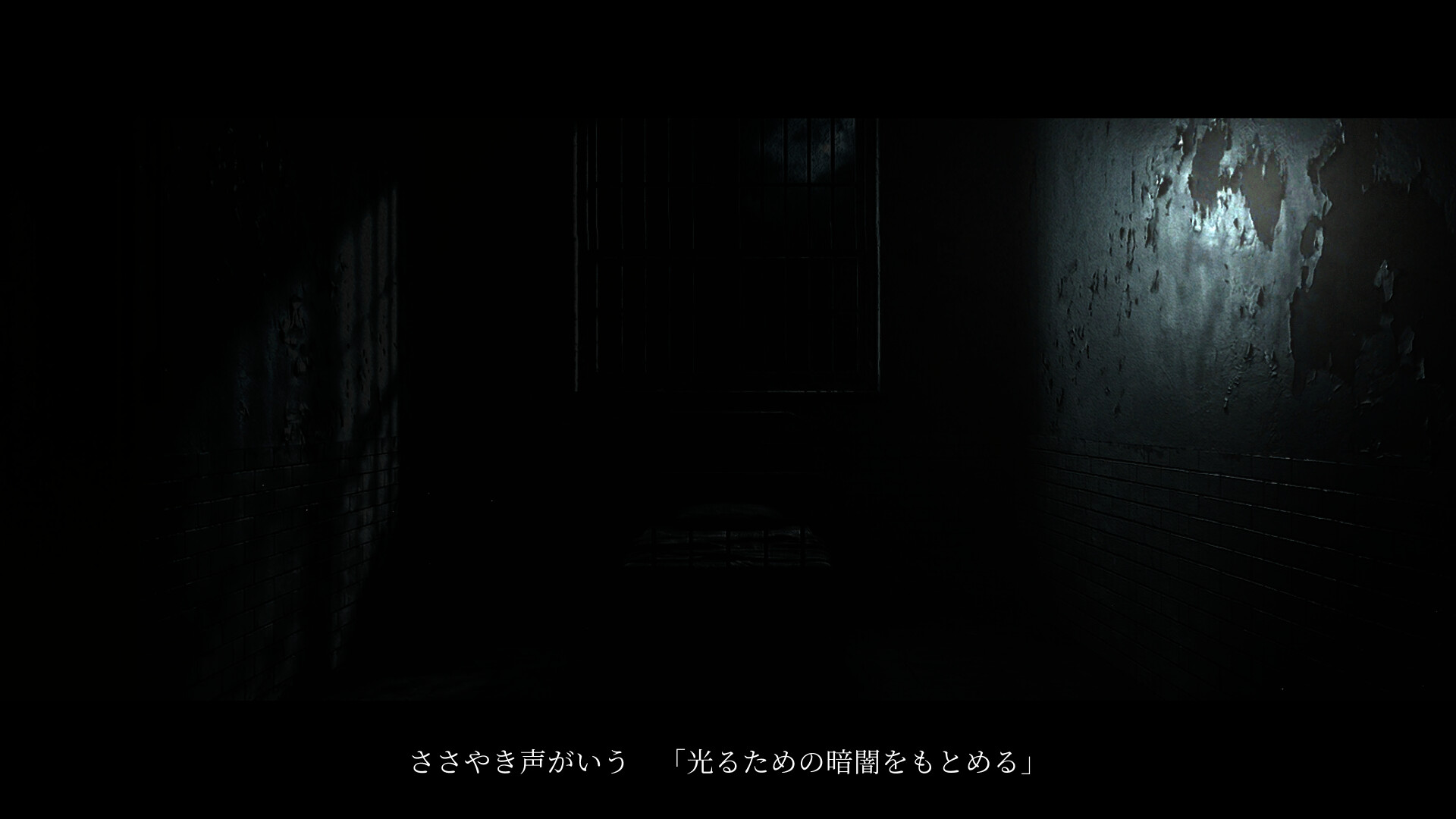 VIGNETTE screenshot 2