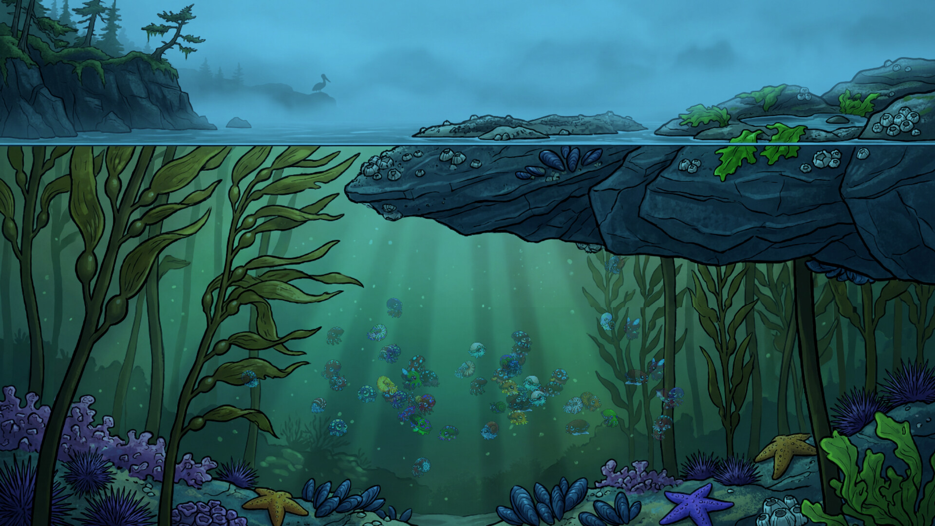 Molluscarium screenshot #4