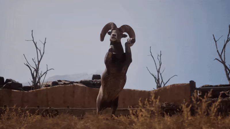 Ram Fights video 2
