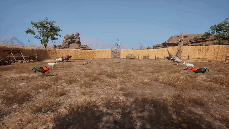 Ram Fights video 4