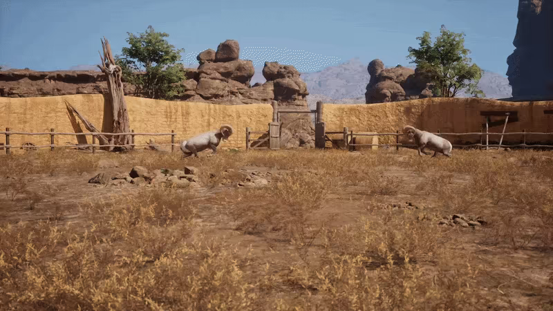 Ram Fights video 3