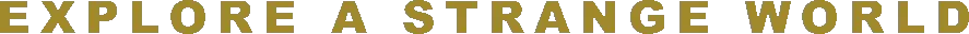 Game media