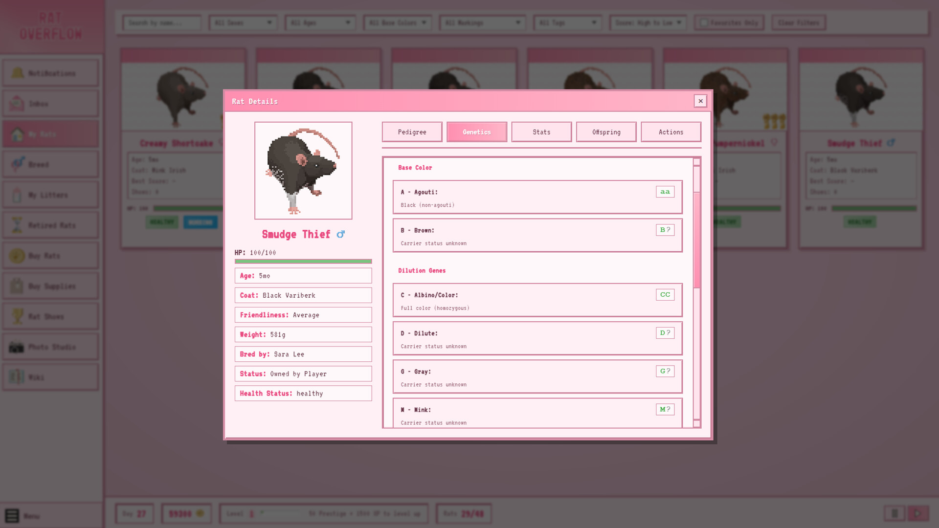 Rat Overflow Featured Screenshot #1