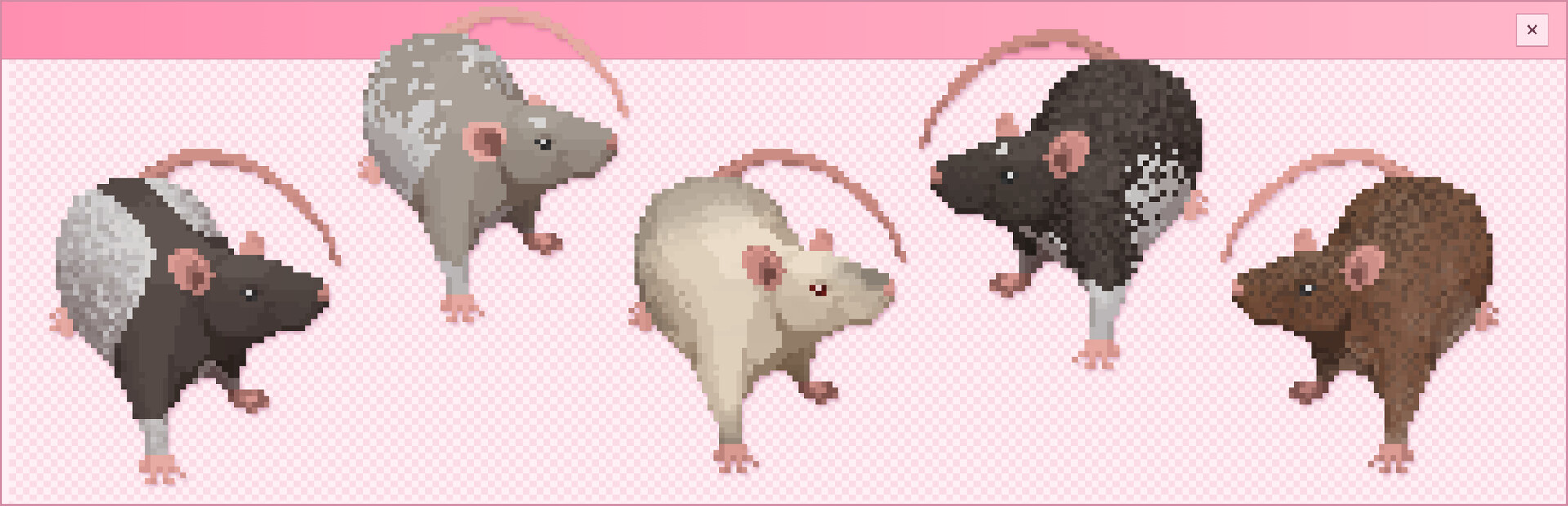 Rat Overflow