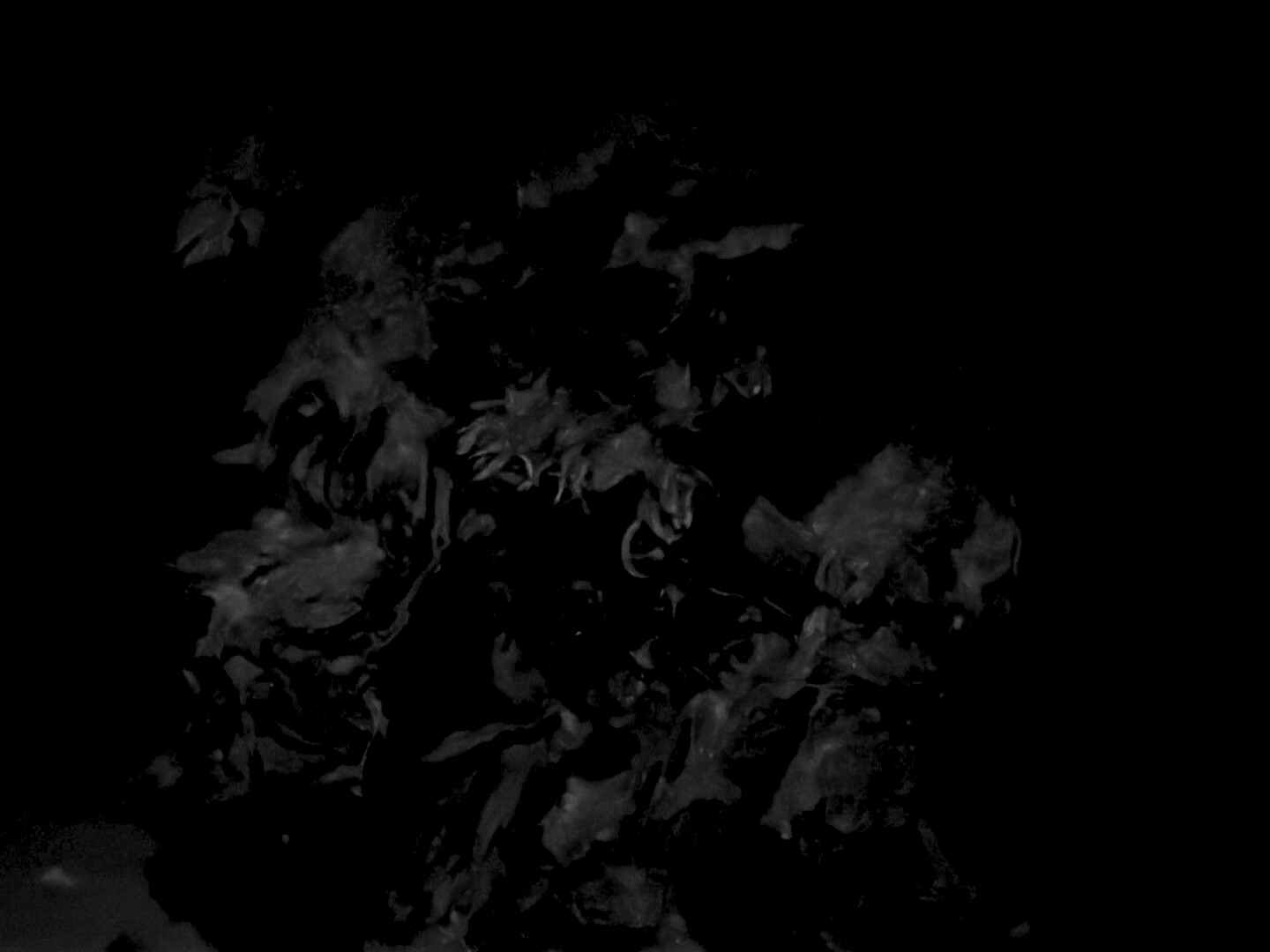 Drown Rabbit screenshot #4
