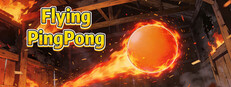 Flying PingPong