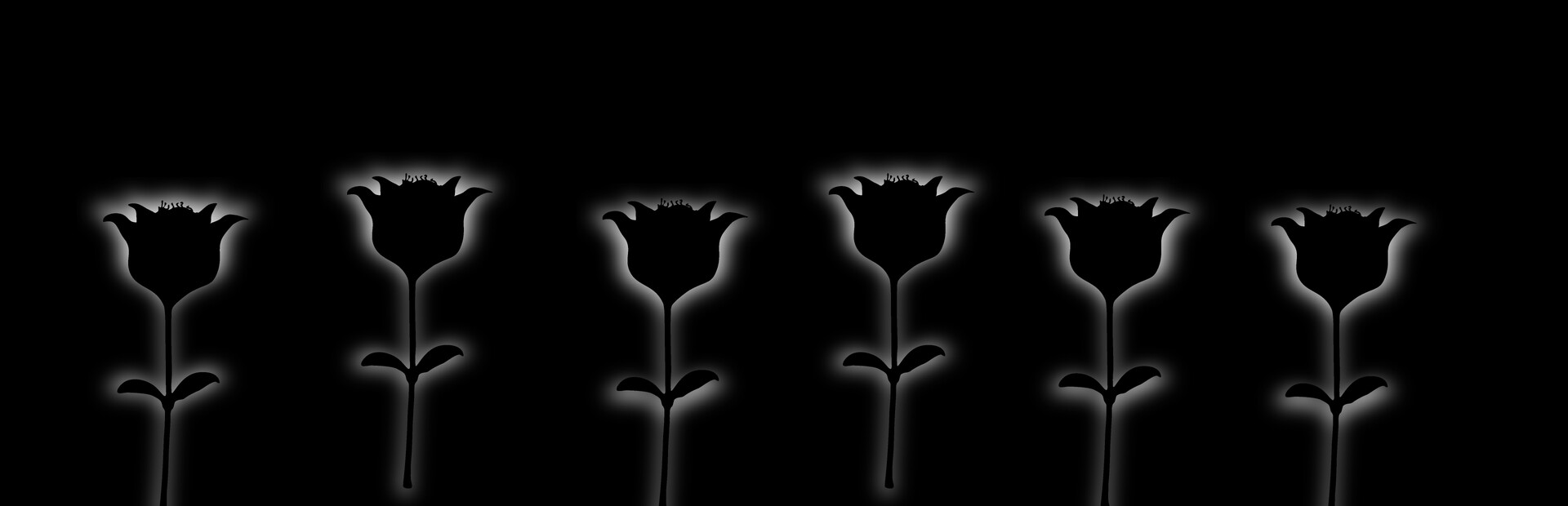 Lux Anima