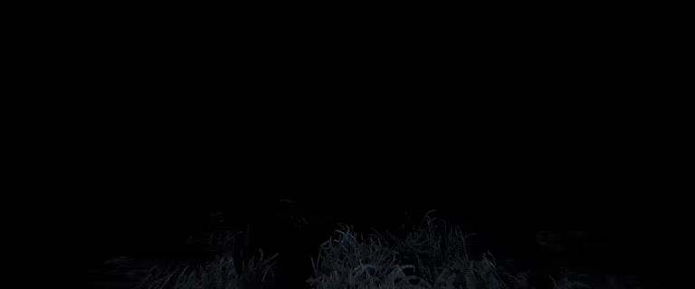 Silentia video 1