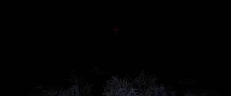 Silentia video 2