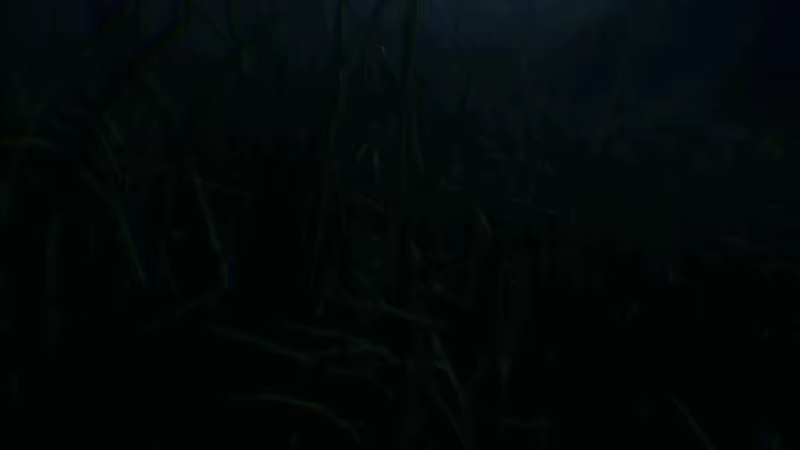 Amidst The Evil video 4